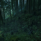 Image for article titled War for the Planet of the Apes Is Expanding Its World Beyond Caesar
